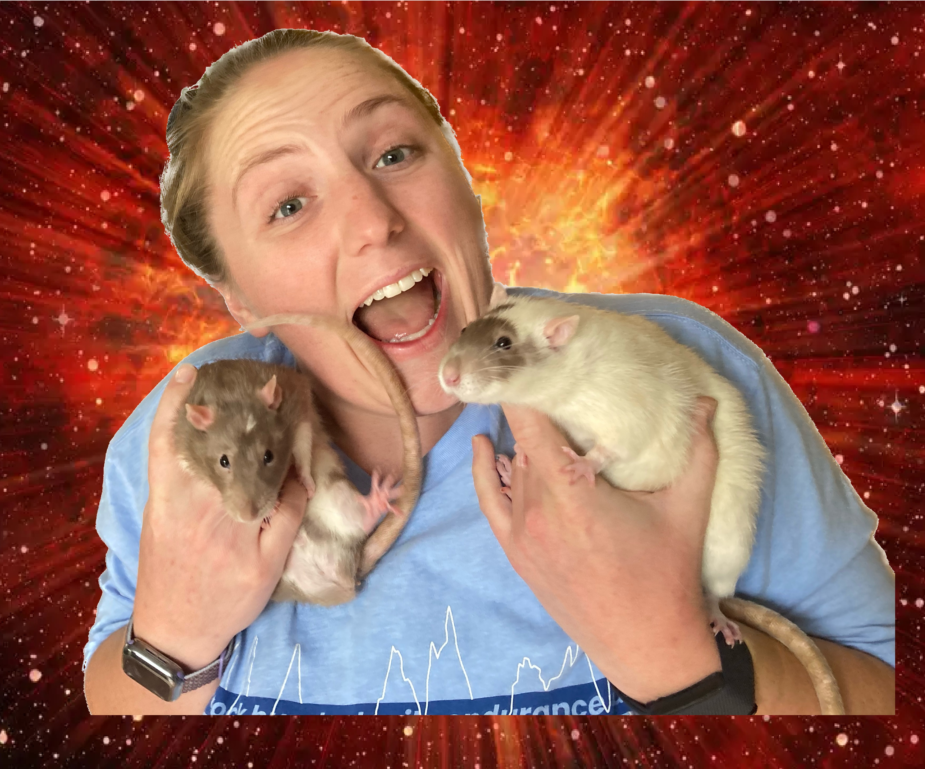 explosion baby rats
